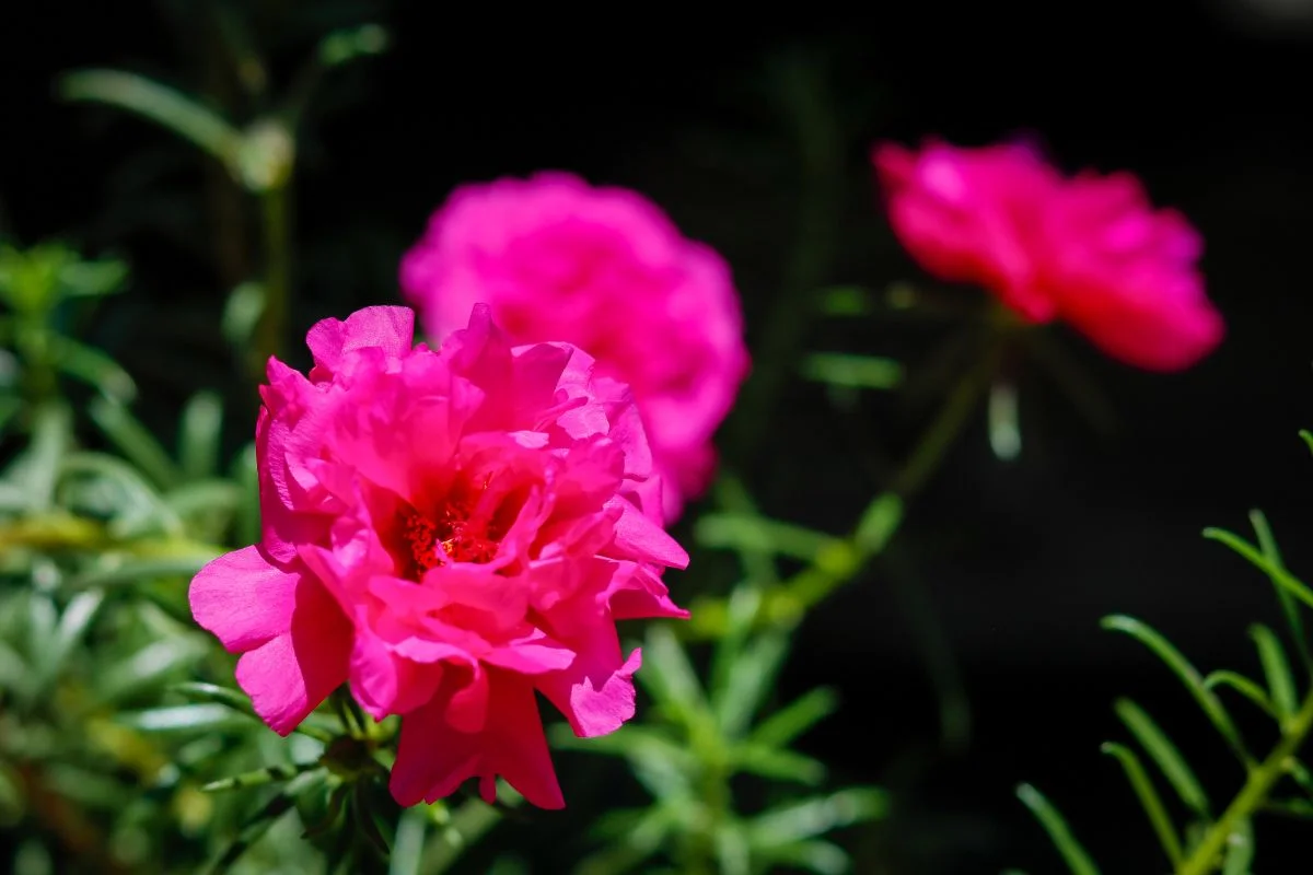 Onze-horas - Reprodução Canva