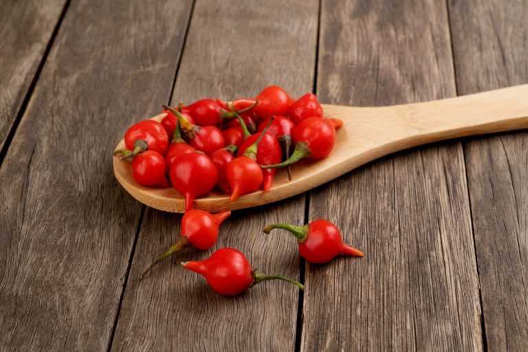 Pimenta-biquinho: aprenda a cultivar esse tempero incrível 1 Pimenta-biquinho aprenda a cultivar esse tempero - Foto: Canva Pró
