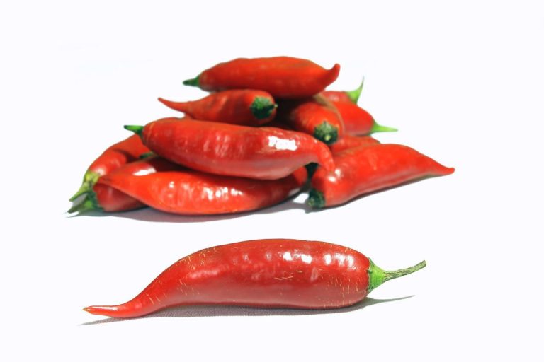 Pimenta Dedo-de-Moça: saiba como cultivar corretamente 1 Pimenta dedo-de-moça