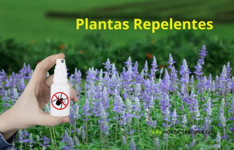 Plantas Repelentes.