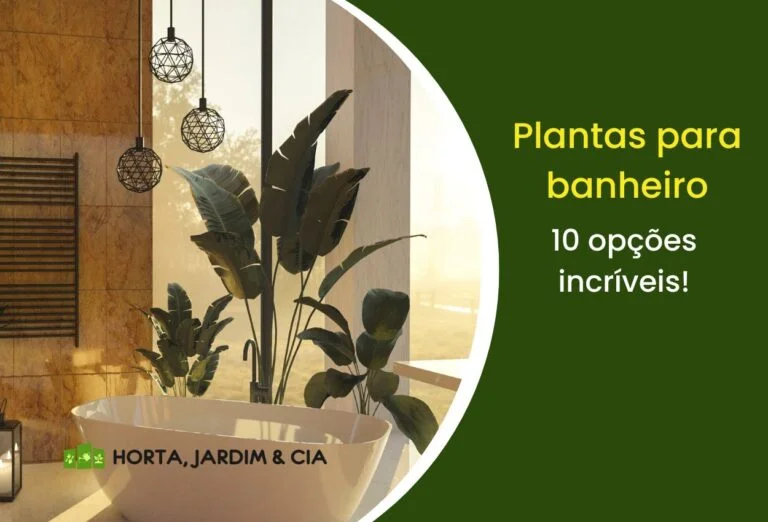 Plantas para banheiro.
