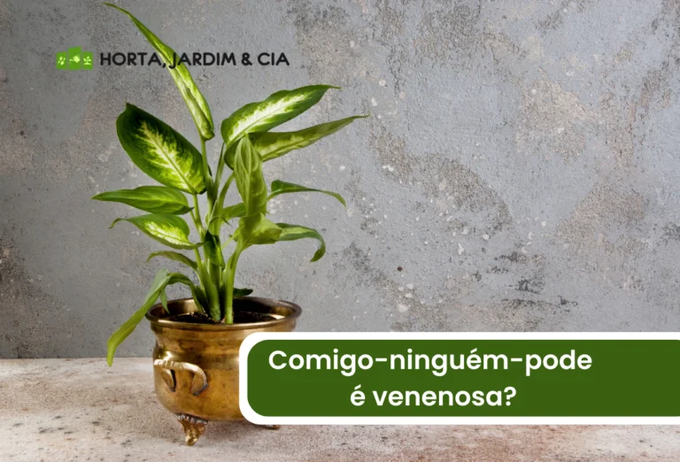 Comigo-ninguém-pode é venenosa.