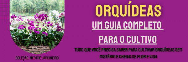 cebolinha 2