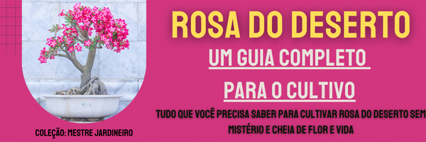 Como fazer muda de rosa do deserto: passo a passo em um guia completo 1 cebolinha 3