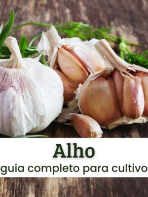 Alho Alho