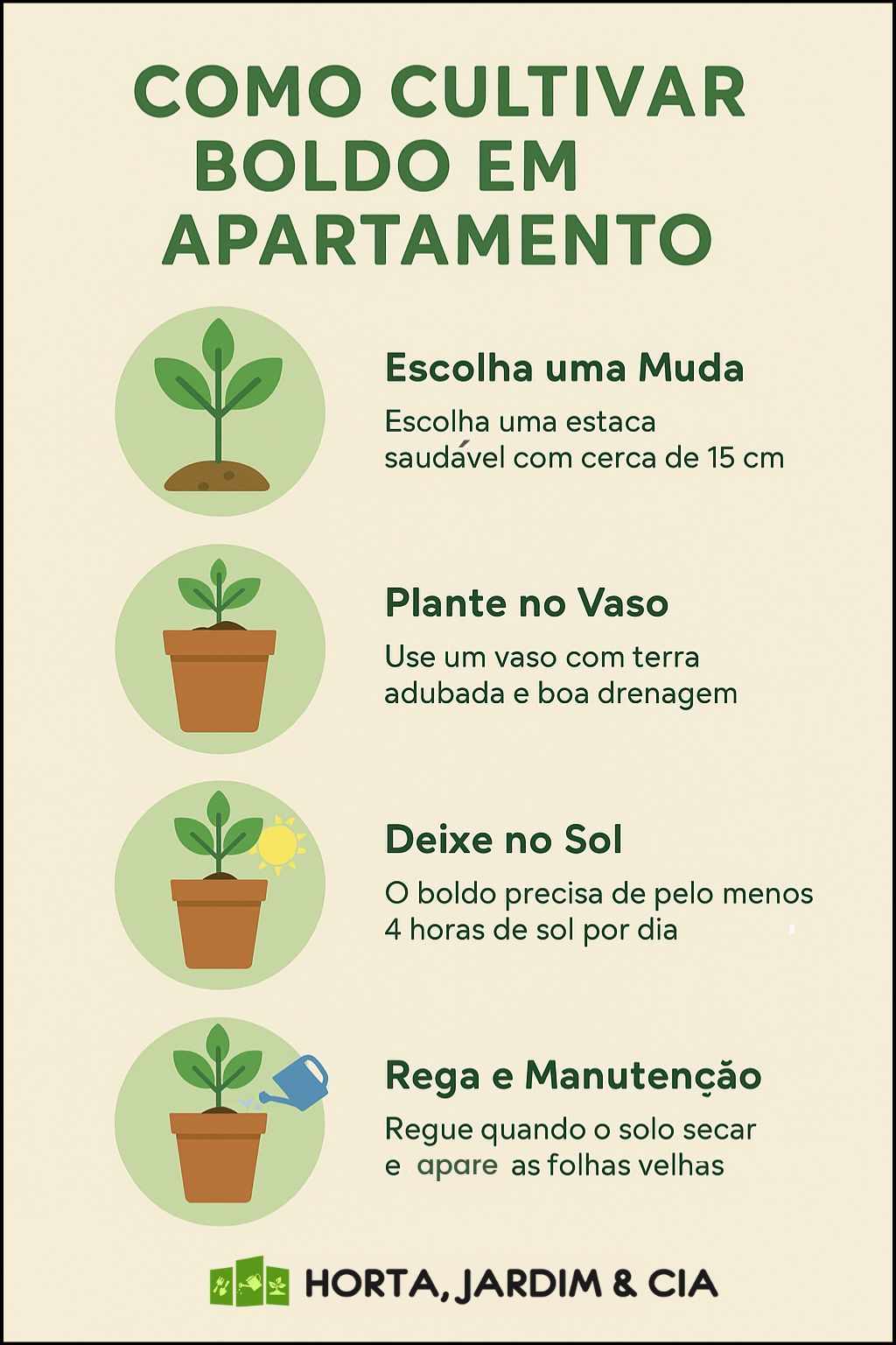 dicas de como cultivar boldo. 