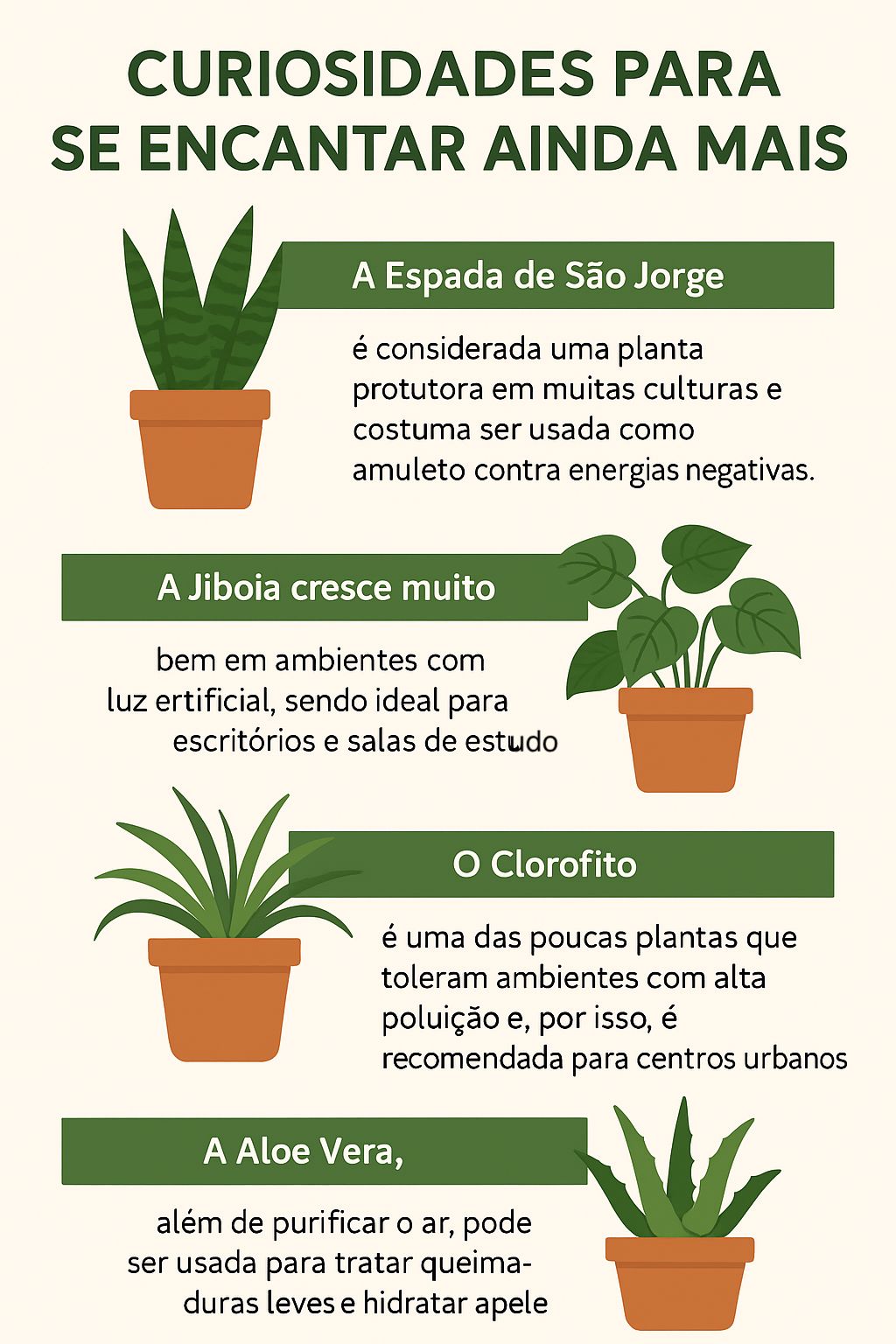 plantas que purificam o ar.