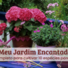 Meu jardim encantado.