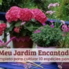 Meu jardim encantado.