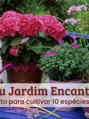 Jardim de sucesso (1) Meu jardim encantado.