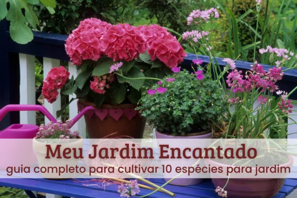 Meu jardim encantado.