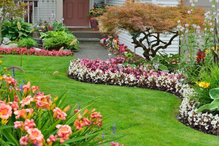 O que é paisagismo e como planejar o seu jardim 2 O que é paisagismo?