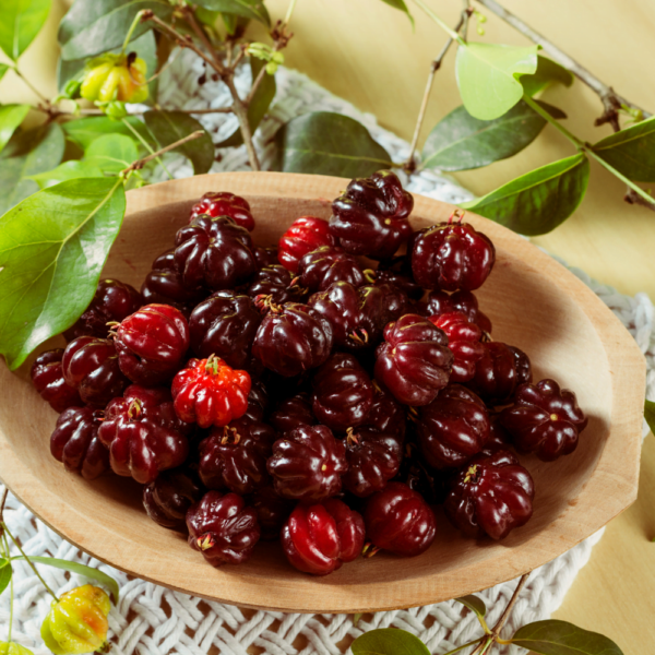 Pitanga (2) Pitanga.