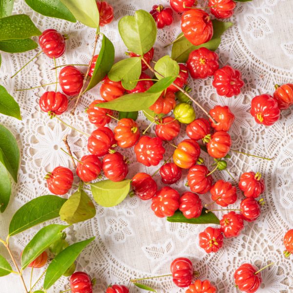 Pitanga (4) Pitanga.