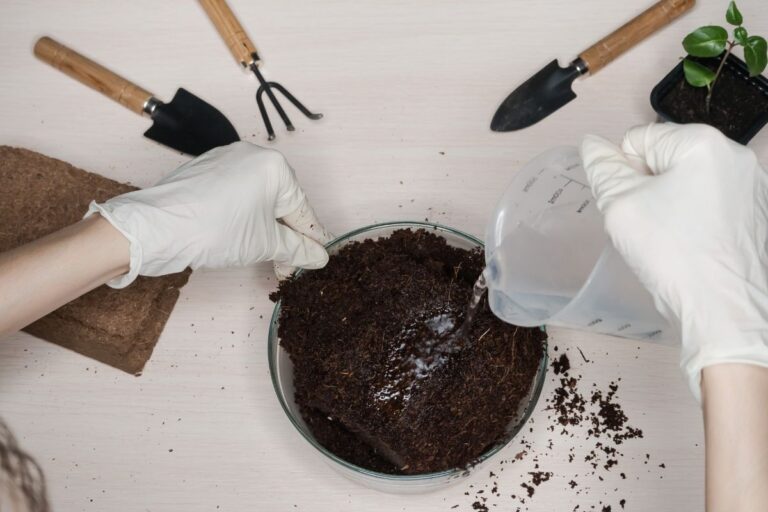 Substrato: O que é, como escolher o melhor para suas plantas e dicas para um cultivo saudável 8 Substrato.