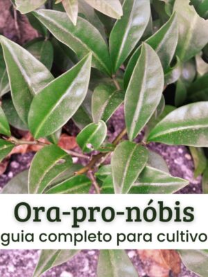 ora-pro-nóbis ora-pro-nóbis.
