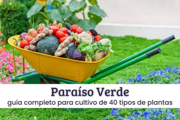 paraíso verde Paraíso verde.